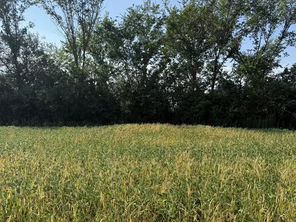 Crete, IL 60417,1404 (apx) W Exchange ST