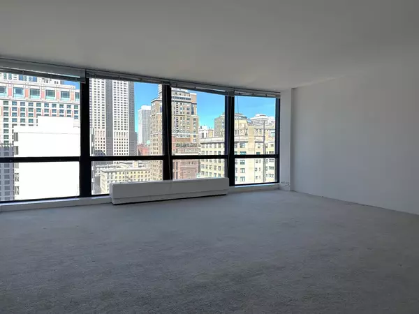 Chicago, IL 60611,910 N Lake Shore DR #2220