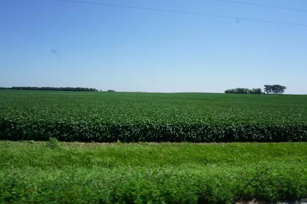 Thawville, IL 60968,Address not disclosed