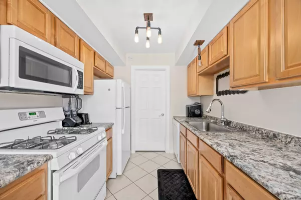 Bloomingdale, IL 60108,209 Amherst CT #C