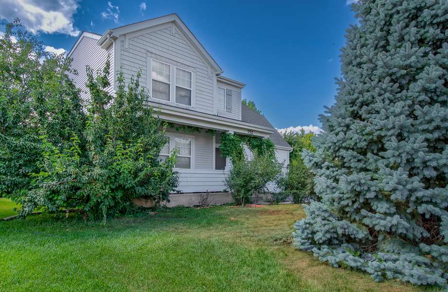 752 S Parkside DR, Round Lake, IL 60073