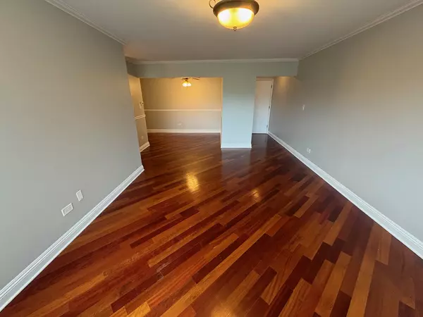 Chicago, IL 60656,5310 N Chester AVE #502