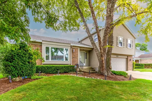 Buffalo Grove, IL 60089,913 Hobson DR