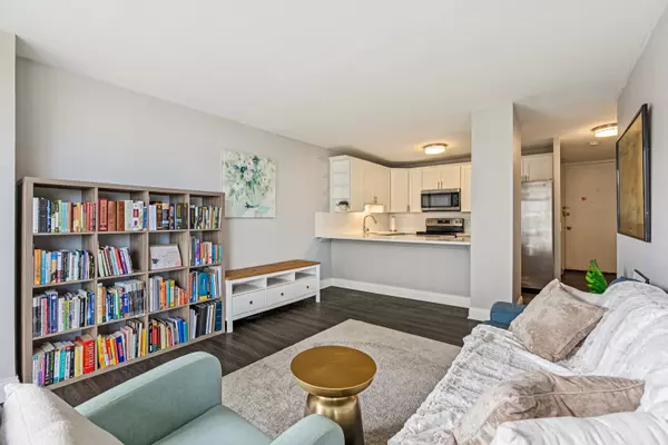 Chicago, IL 60610,1540 N La Salle DR #603