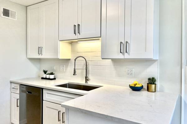 Palatine, IL 60074,906 E Kings Row AVE #1