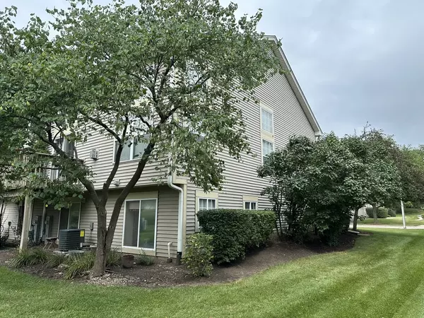 Elgin, IL 60120,705 Littleton TRL