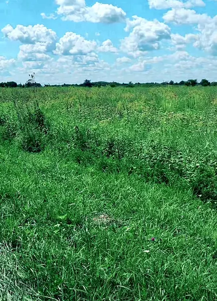 30250 S COTTAGE GROVE AVE, Beecher, IL 60401