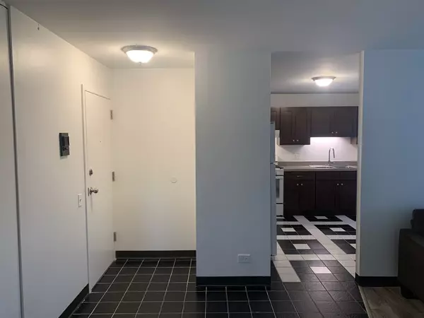 Chicago, IL 60615,4850 S Lake Park AVE #412