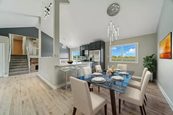 Matteson, IL 60443,733 Old Meadow RD