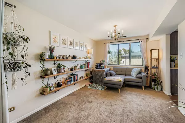 Oak Lawn, IL 60453,10409 MAYFIELD AVE #3A