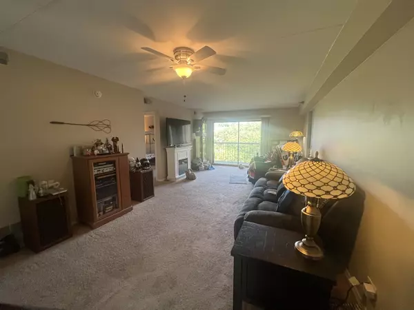 Tinley Park, IL 60477,6000 Lake Bluff DR #402