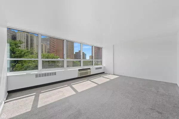 Chicago, IL 60615,4800 S Chicago Beach DR #408S