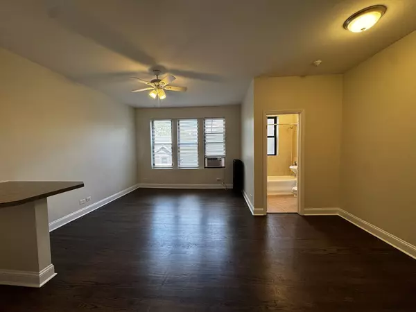 Chicago, IL 60626,1344 W Lunt AVE #209