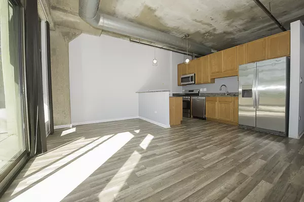 Chicago, IL 60608,1550 S Blue Island AVE #423