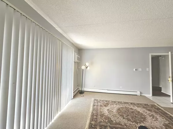 Orland Park, IL 60462,9840 W 153RD ST #1SE