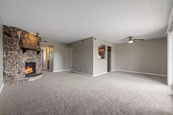 Tinley Park, IL 60477,8136 168th PL #3E