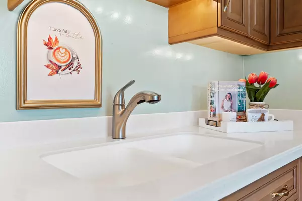 Des Plaines, IL 60016,913 Ingram PL