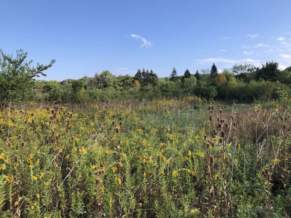 Mettawa, IL 60048,8 Alexandra DR