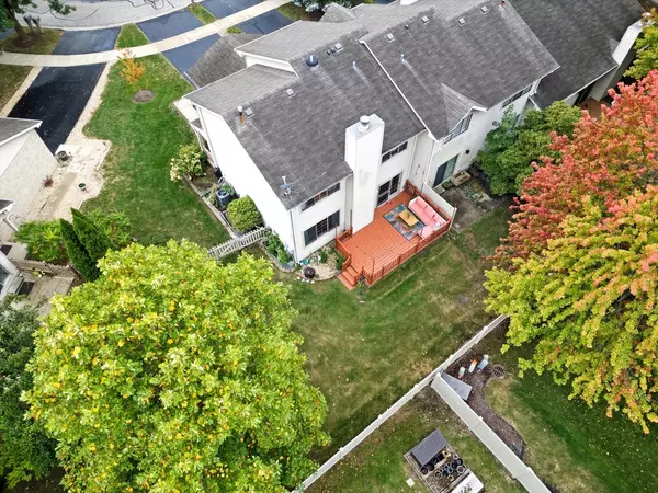 Naperville, IL 60563,2015 Yellow Daisy CT
