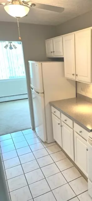Palatine, IL 60074,225 S Rohlwing RD #607