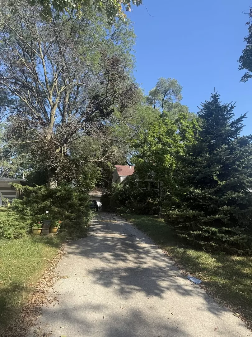 Downers Grove, IL 60516,1032 61st ST