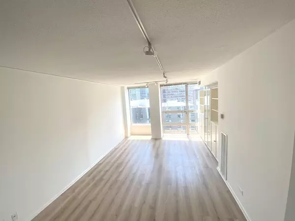 Chicago, IL 60611,230 E Ontario ST #2304