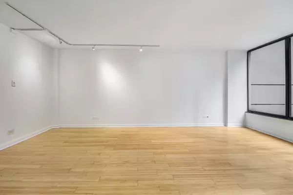 Chicago, IL 60611,230 E Ontario ST #905