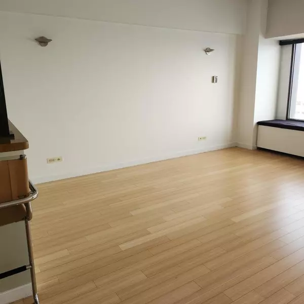 Chicago, IL 60611,175 E Delaware PL #4707