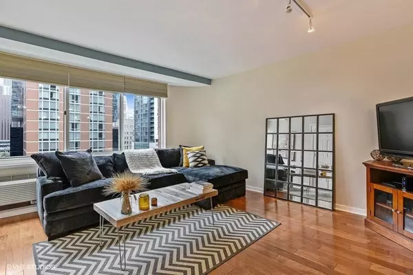 Chicago, IL 60611,211 E Ohio ST #1211