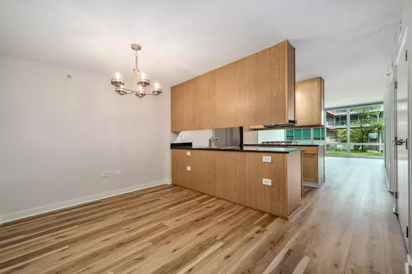 Skokie, IL 60077,9655 Woods DR #507