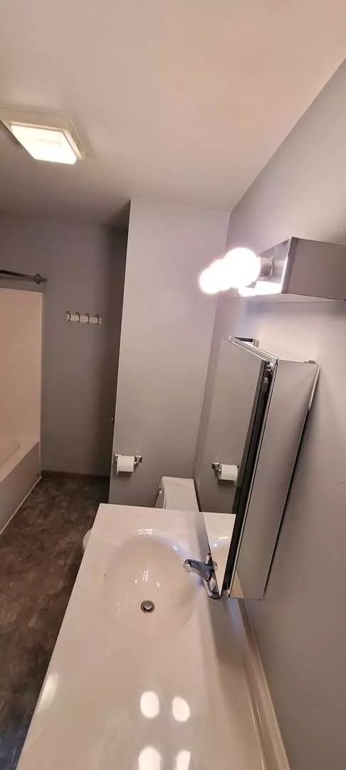 Lake In The Hills, IL 60156,1345 Cunat CT #1A