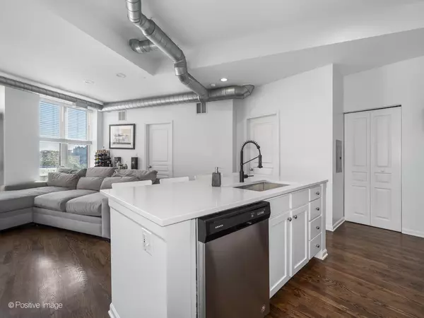 Chicago, IL 60657,1645 W School ST #418