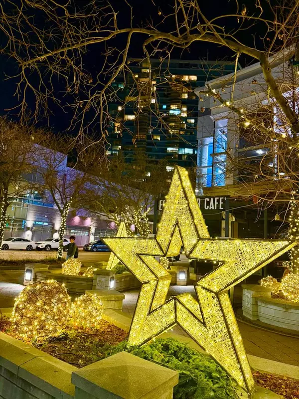 Evanston, IL 60201,1720 Maple AVE #2580