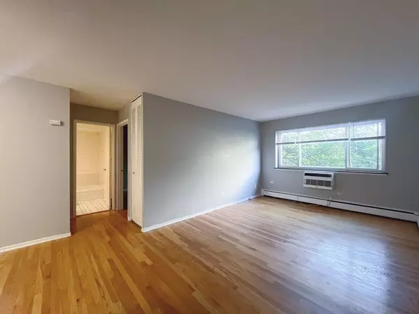 Chicago, IL 60613,736 W Buena AVE #307