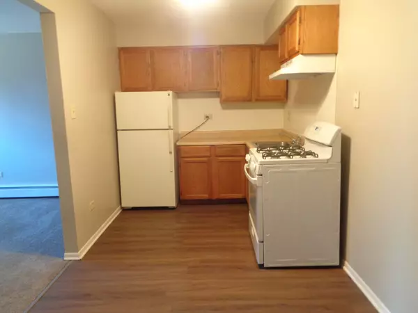 Hickory Hills, IL 60457,8244 W 87th ST #13