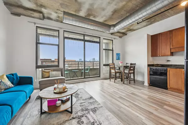 Chicago, IL 60608,1550 S Blue Island AVE #510