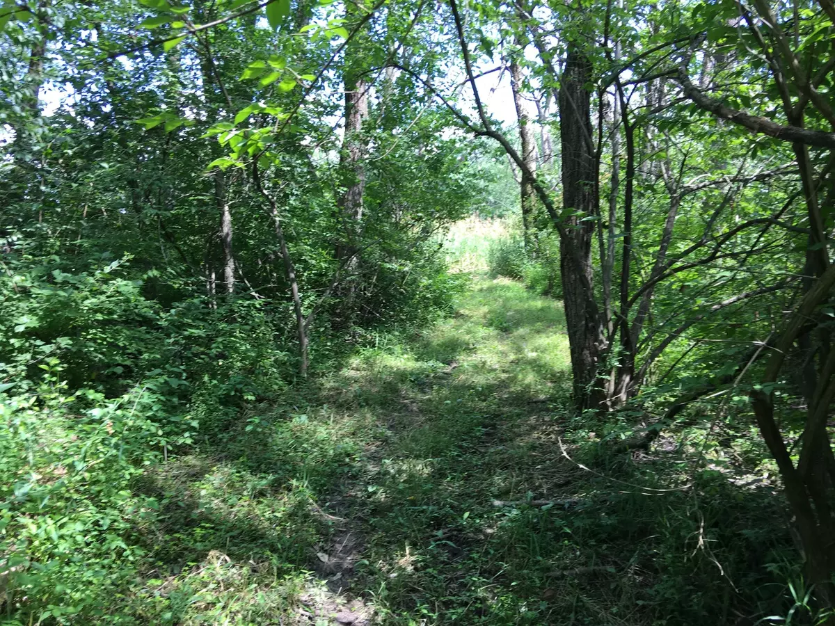 Homer Glen, IL 60491,Oak Meadow Lot 3 Hadley RD