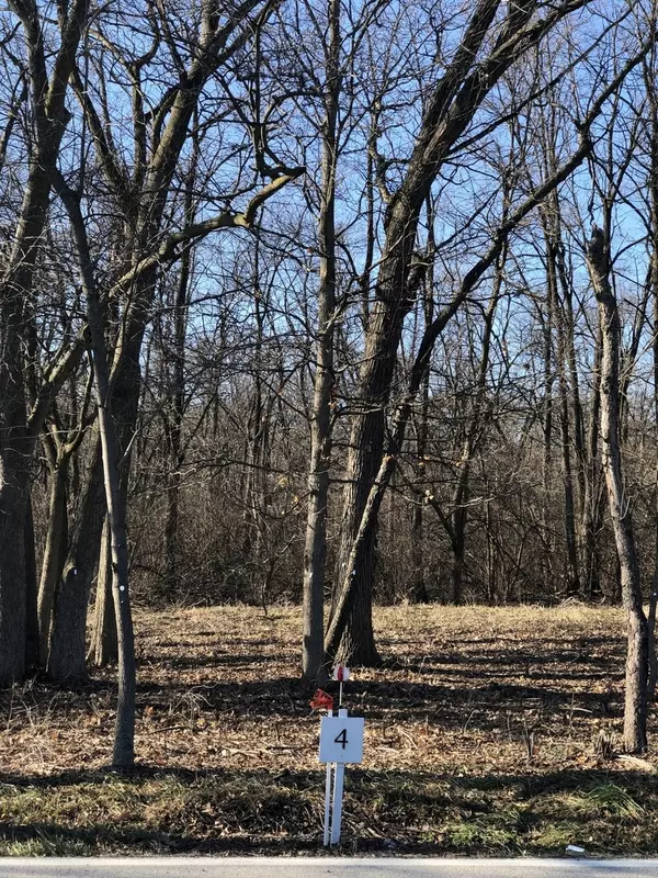 Oak Meadow Lot 4 Hadley RD, Homer Glen, IL 60491