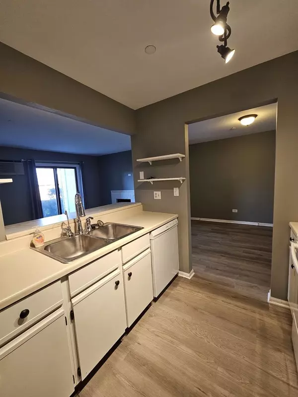 Lake In The Hills, IL 60156,1354 Cunat CT #1B