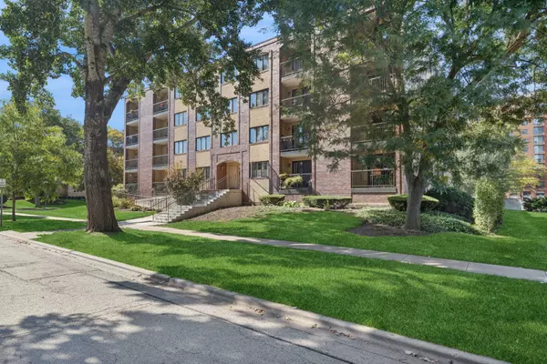 104 N Pine AVE #505, Arlington Heights, IL 60004