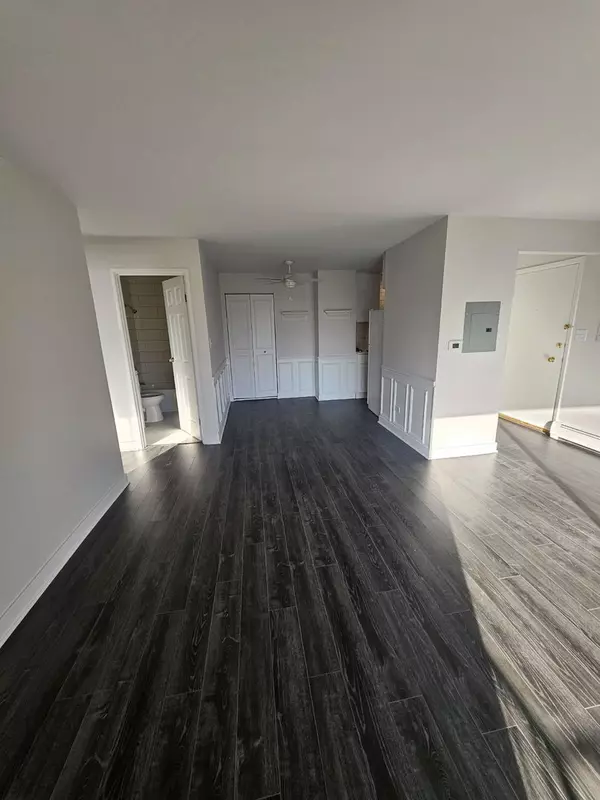 Chicago Ridge, IL 60415,11010 Central AVE #3a