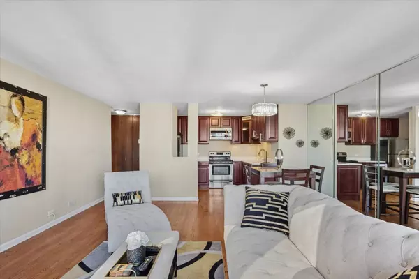 Chicago, IL 60611,100 E Walton ST #33A