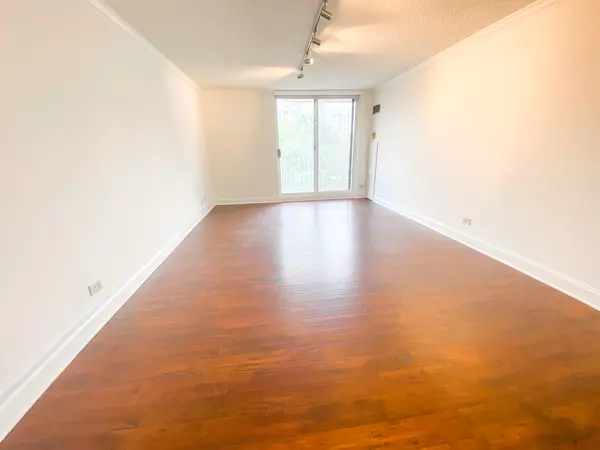 Chicago, IL 60610,1250 N LaSalle ST #412
