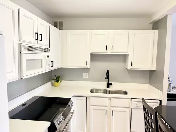 Chicago, IL 60611,100 E Walton PL #14A