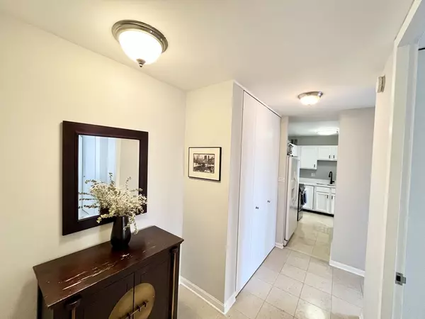 Chicago, IL 60611,100 E Walton PL #14A