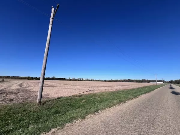 Weldon, IL 61882,0000 White Pigeon RD