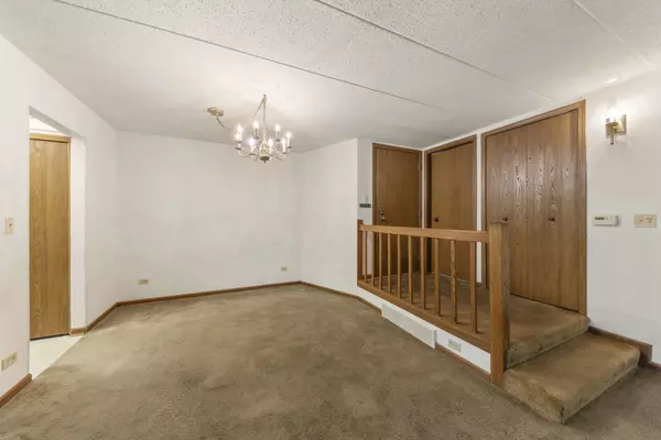 Glen Ellyn, IL 60137,393 Duane ST #203