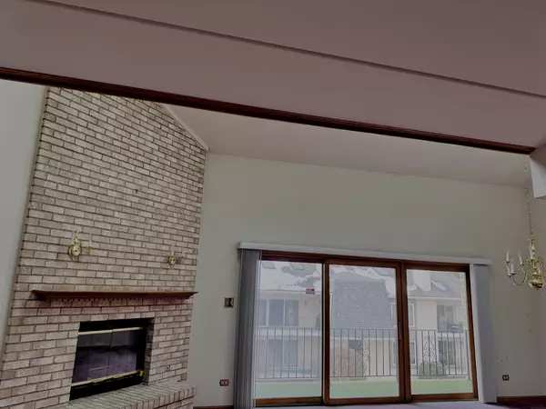 Palos Hills, IL 60465,9004 Del Prado DR #2N