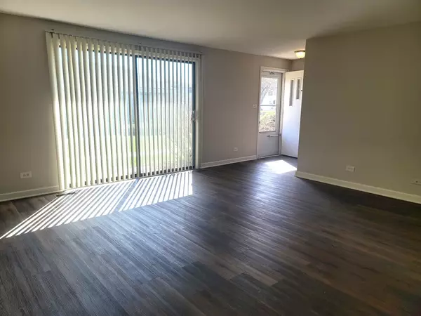 Schaumburg, IL 60193,1335 FORESTDALE CT #1335