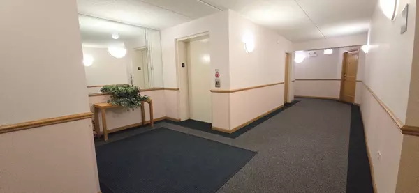 Chicago, IL 60634,6430 W BERTEAU AVE #203